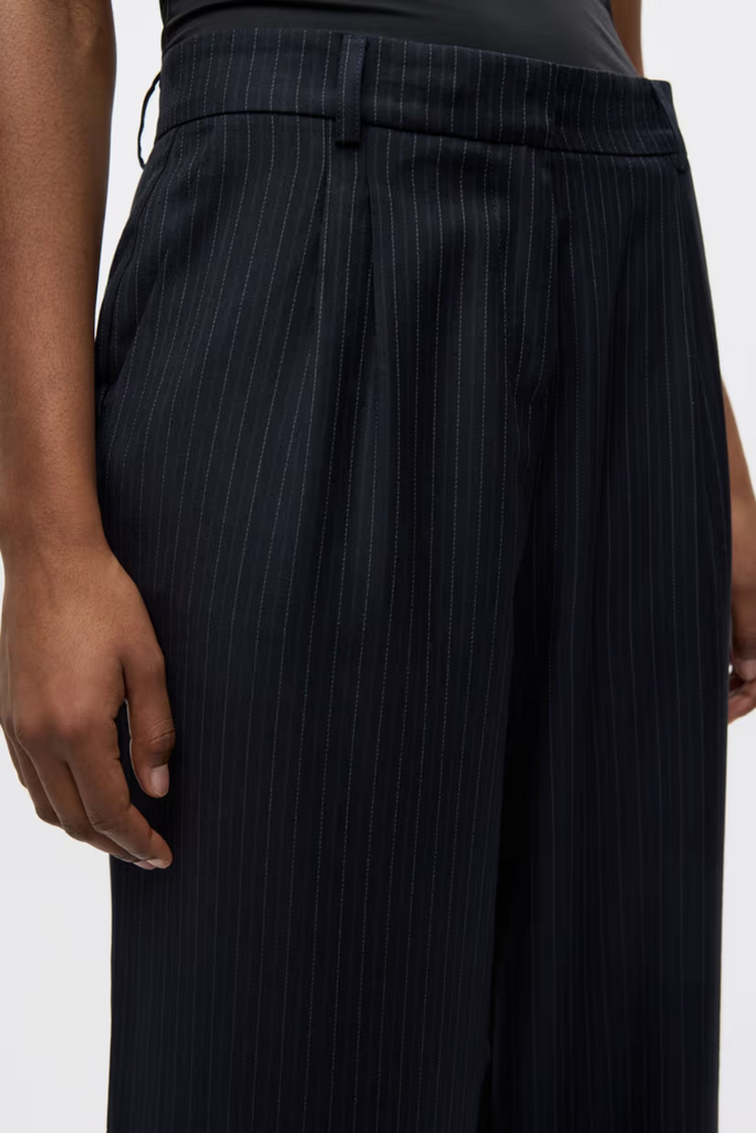Endore Pants - Dark Navy Pinstripe - Envii