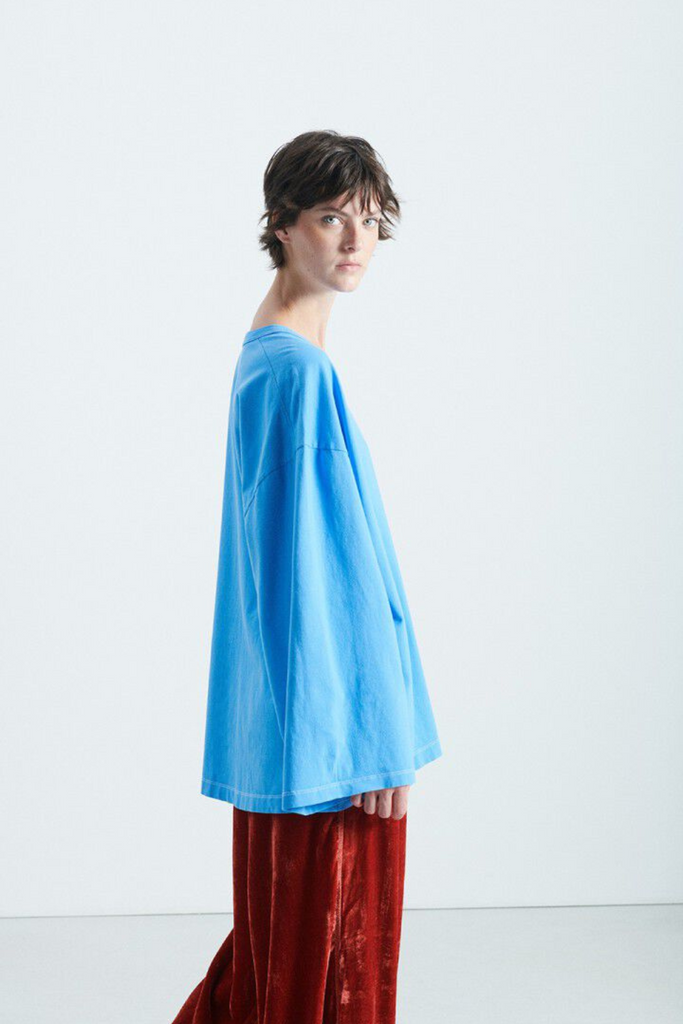 Fizvalley T-shirt - Vintage Celestial - American Vintage