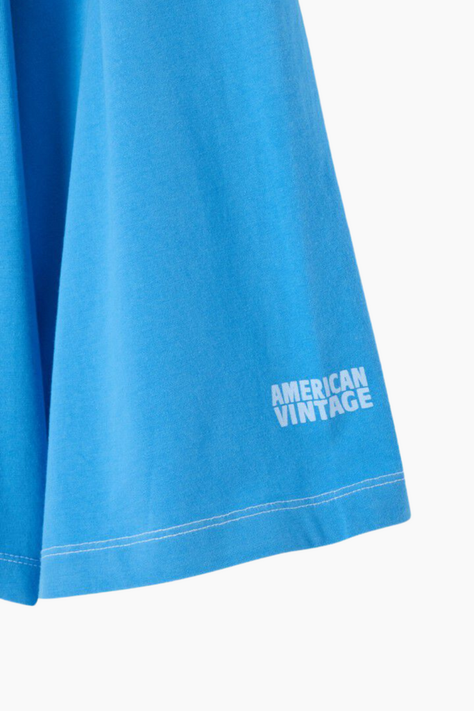 Fizvalley T-shirt - Vintage Celestial - American Vintage