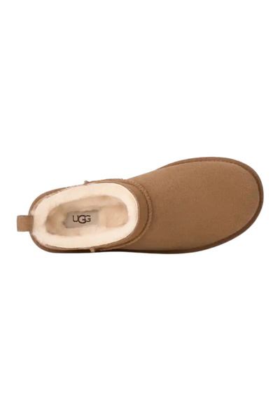 W Classic Micro - Chestnut - UGG