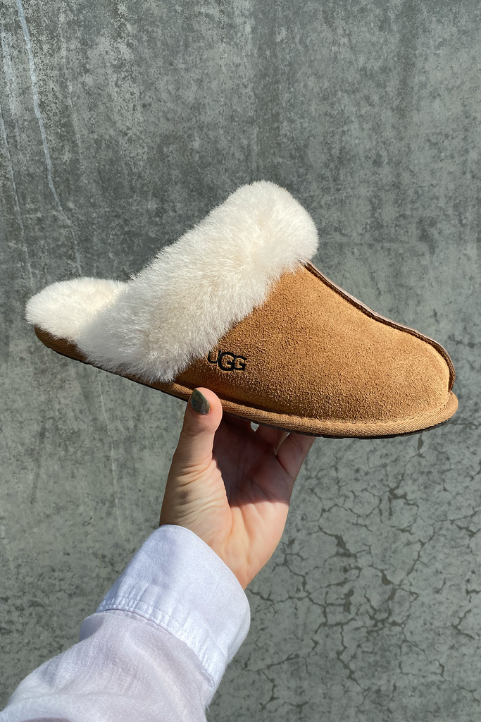 Scuffette Slipper - Chestnut - UGG